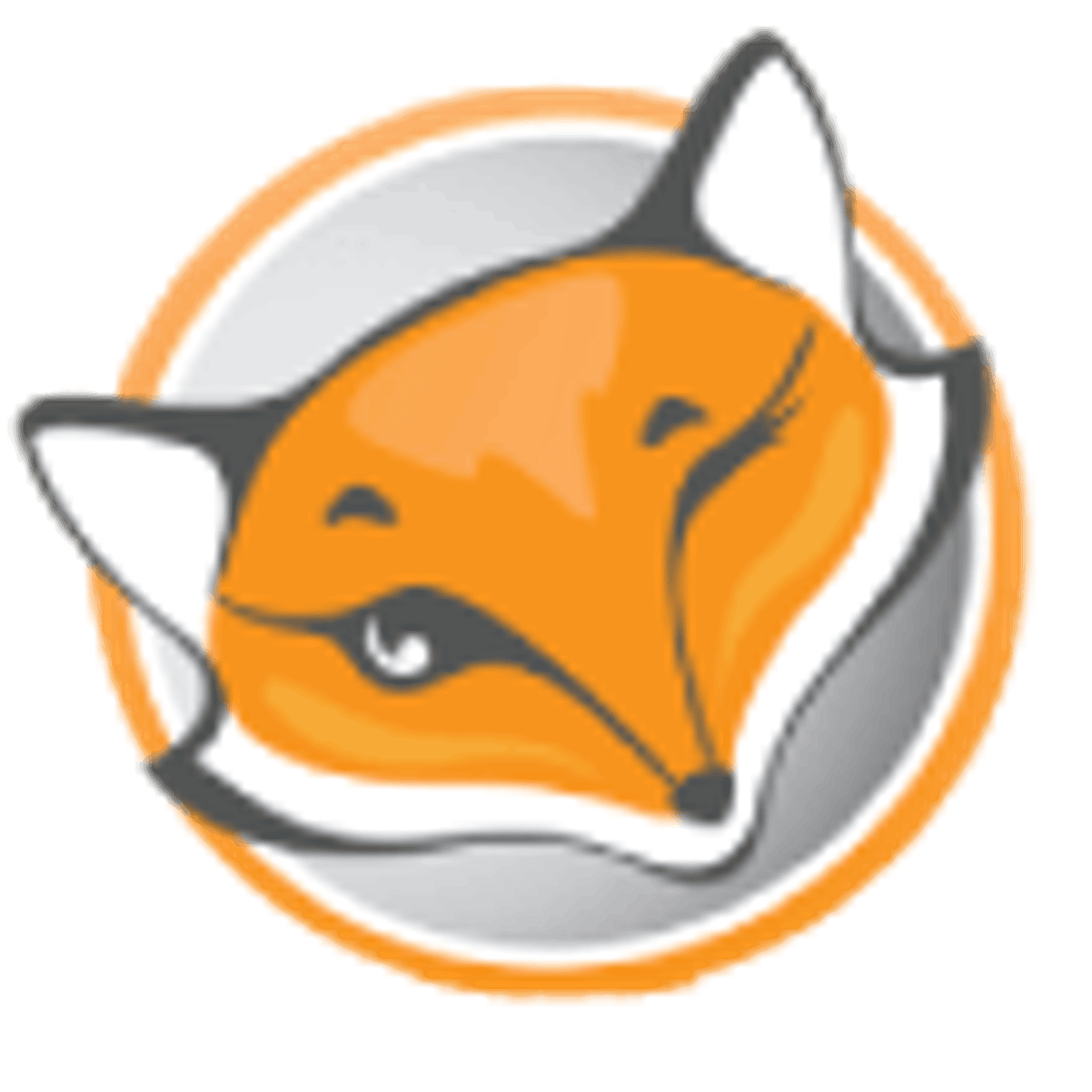 Smartproxy-configuration-on-foxyproxy%2B%281%29.png